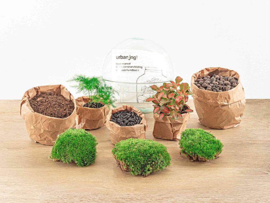 Planten terrarium - DIY - Dome Red - Ecosysteem plant - ↑ 20 cm