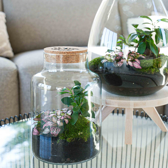 'LOVE MOM' terrarium Little Milky + gegraveerde kurk met licht - Flessentuin - DIY kit - Ø 17 cm ↑ 25 cm - Moederdag