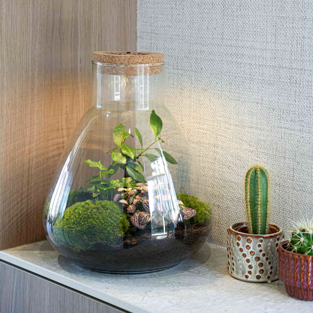 'LOVE MOM' terrarium Sam + gegraveerde kurk met licht - Fles terrarium DIY kit - Ø 24.5 cm ↑ 30 cm - Moederdag