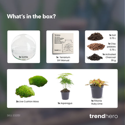 Dome Rood - DIY Planten terrarium - Tweedelig bolglas - Ecosysteem plant - Ø 20 cm ↑ 20 cm