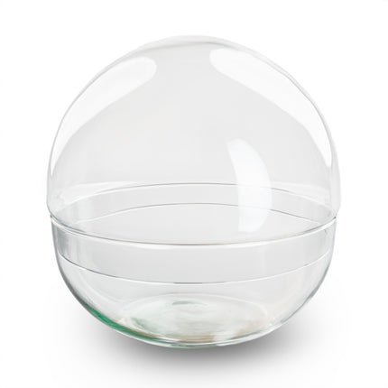 Terrarium fles 'Dome' - Tweedelig bolglas - Gesloten terrarium Ø 20 cm ↑ 20 cm