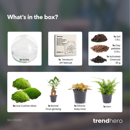 Planten terrarium - DIY kit - Dome XL Bonsai - Ecosysteem plant - Ø 28 cm ↑ 28 cm