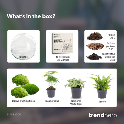 Dome XL - DIY Planten terrarium - Tweedelig bolglas - Ecosysteem plant - Ø 28 cm ↑ 28 cm