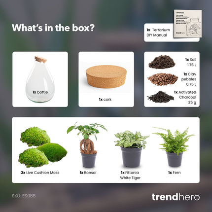 Drop XL Bonsai 'Groen' - DIY Planten terrarium - Ecosysteem plant - Ø 24 cm ↑ 37 cm