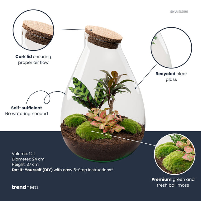 Drop XL Palm - DIY Planten terrarium - Ecosysteem plant - Ø 24 cm ↑ 37 cm
