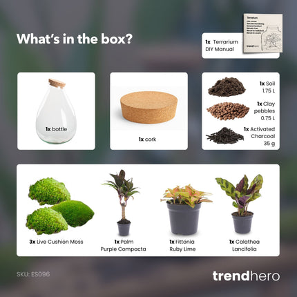 Drop XL Palm - DIY Planten terrarium - Ecosysteem plant - Ø 24 cm ↑ 37 cm
