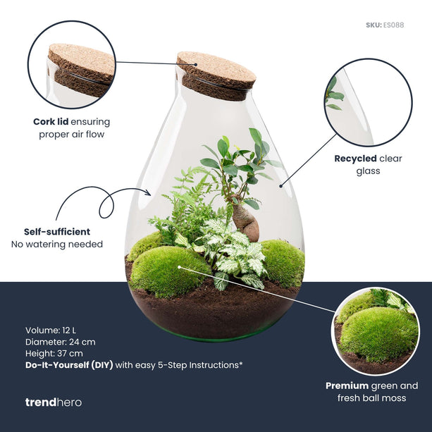 Drop XL Bonsai 'Groen' - DIY Planten terrarium - Ecosysteem plant - Ø 24 cm ↑ 37 cm
