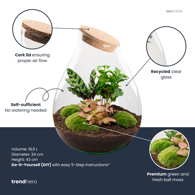 Drop XXL Rood - DIY Planten terrarium - Ecosysteem plant - Ø 34 cm ↑ 43 cm