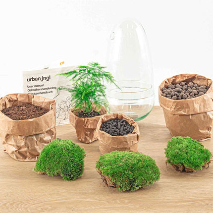 Planten terrarium - Egg - Ecosysteem in 'ei stolp' - ↑ 25 cm