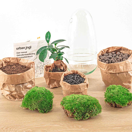 Planten terrarium - Egg - Ecosysteem in 'ei stolp' - ↑ 25 cm