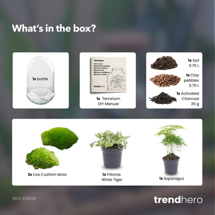Egg XL - DIY Planten terrarium - Tweedelig bolglas - Ø 17,5 cm ↑ 30 cm