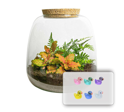 Emma Mini KIDS - DIY kit - Planten terrarium - ↑ 20 cm - Ø 19 cm