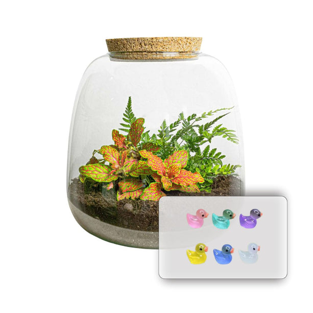 Emma Mini KIDS - DIY kit - Planten terrarium - ↑ 20 cm - Ø 19 cm