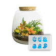 Emma Mini KIDS - DIY kit - Planten terrarium - ↑ 20 cm - Ø 19 cm