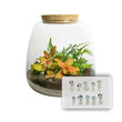 Emma Mini KIDS - DIY kit - Planten terrarium - ↑ 20 cm - Ø 19 cm