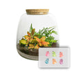Emma Mini KIDS - DIY kit - Planten terrarium - ↑ 20 cm - Ø 19 cm