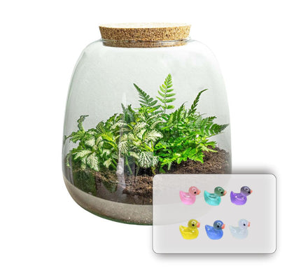 Emma Mini KIDS - DIY kit - Planten terrarium - ↑ 20 cm - Ø 19 cm