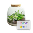 Emma Mini KIDS - DIY kit - Planten terrarium - ↑ 20 cm - Ø 19 cm