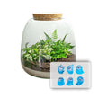 Emma Mini KIDS - DIY kit - Planten terrarium - ↑ 20 cm - Ø 19 cm