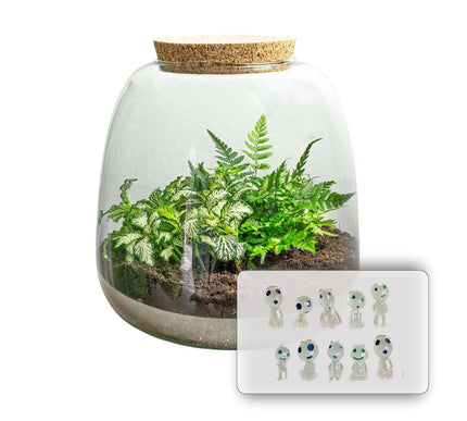 Emma Mini KIDS - DIY kit - Planten terrarium - ↑ 20 cm - Ø 19 cm