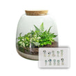 Emma Mini KIDS - DIY kit - Planten terrarium - ↑ 20 cm - Ø 19 cm
