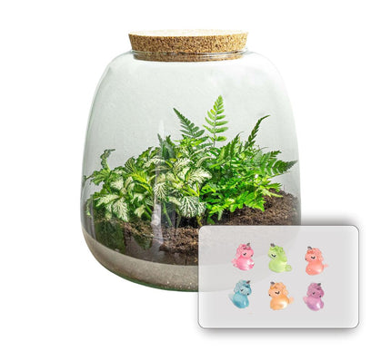 Emma Mini KIDS - DIY kit - Planten terrarium - ↑ 20 cm - Ø 19 cm