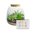 Emma Mini KIDS - DIY kit - Planten terrarium - ↑ 20 cm - Ø 19 cm