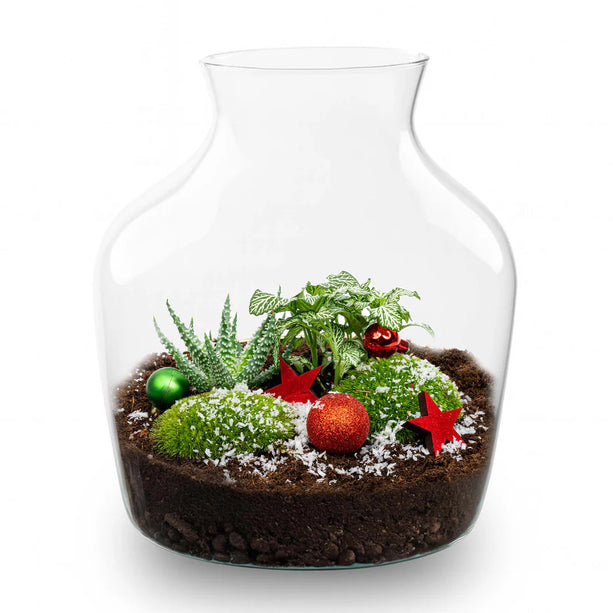 Kerst terrarium 'Evergreen' - DIY planten terrarium - Ø 20 cm ↑ 22 cm