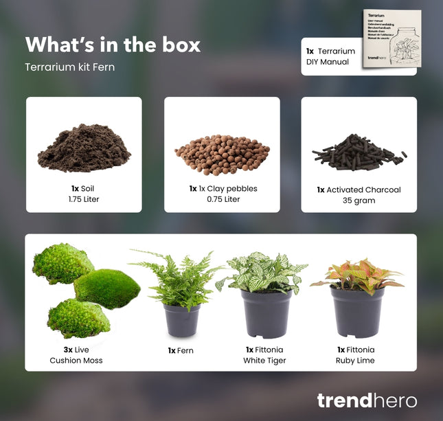 Varen - Terrarium Start- & navulpakket - 3 terrarium planten - DIY