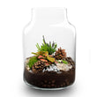 Winter Terrarium 'Frost' - DIY planten terrarium - Ø 17 cm ↑ 25 cm