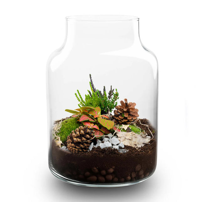Winter Terrarium 'Frost' - DIY planten terrarium - Ø 17 cm ↑ 25 cm
