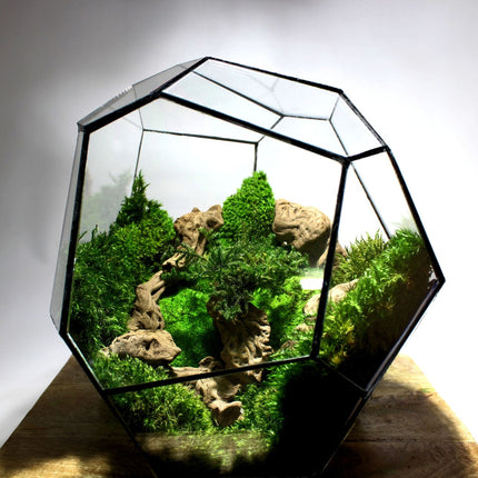 Geometrisch Terrarium - Cosmo - Waterdicht - Glas - ↑ 31 x ↔ 29 cm