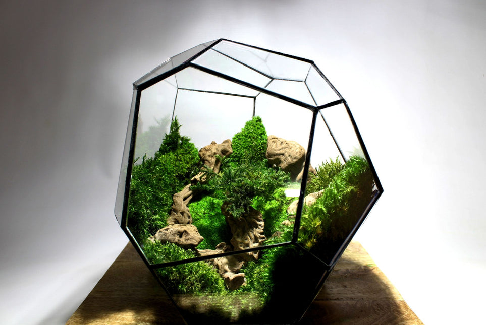 Geometrisch Terrarium - Cosmo - Vivarium - ↑ 31 x ↔ 29 cm - Waterdicht - Glas