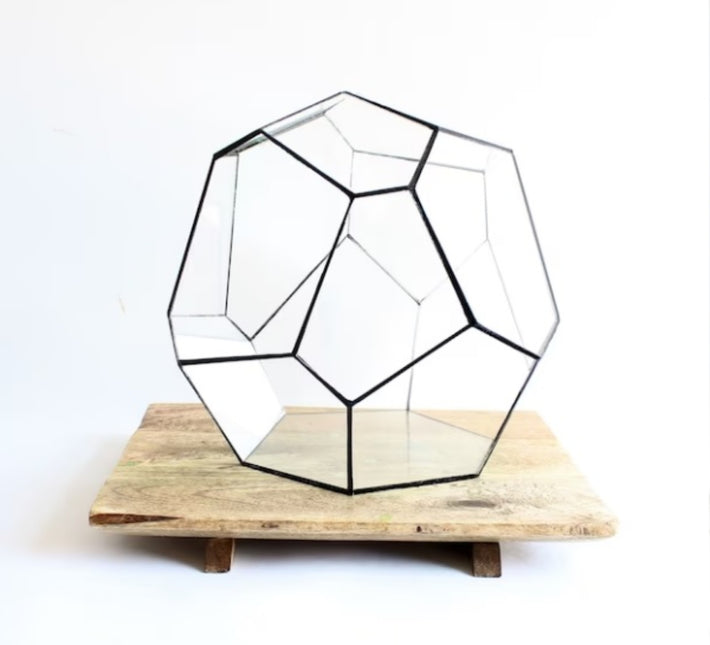 Geometrisch Terrarium - Cosmo - Vivarium - ↑ 31 x ↔ 29 cm - Waterdicht - Glas