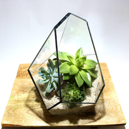 Geometrisch Terrarium - Jungle Gem - Waterdicht - Glas - ↑ 16 x ↔ 15 cm