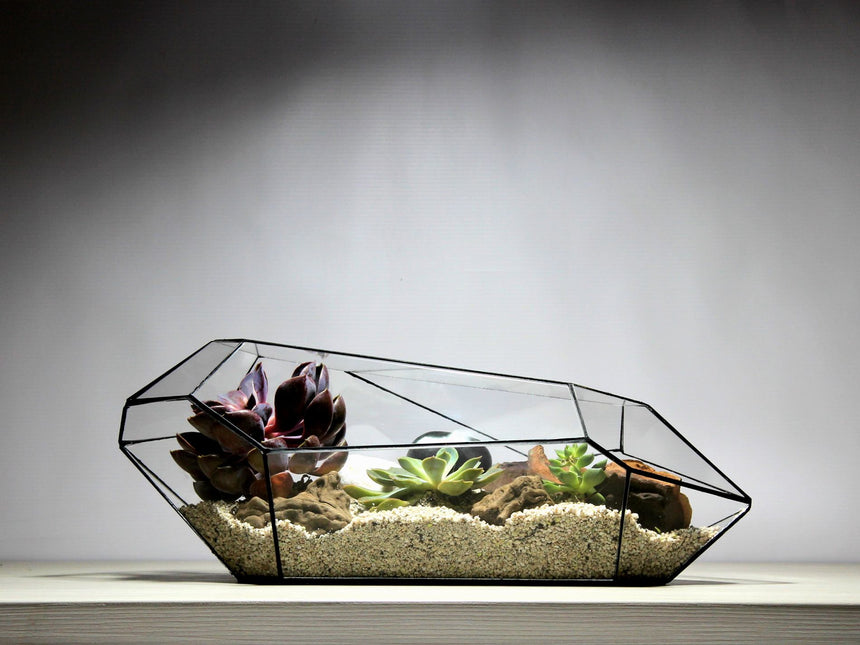 Geometrisch Terrarium - Nano Planter - Vivarium - ↑ 47 x ↔ 21 cm - Waterdicht - Glas