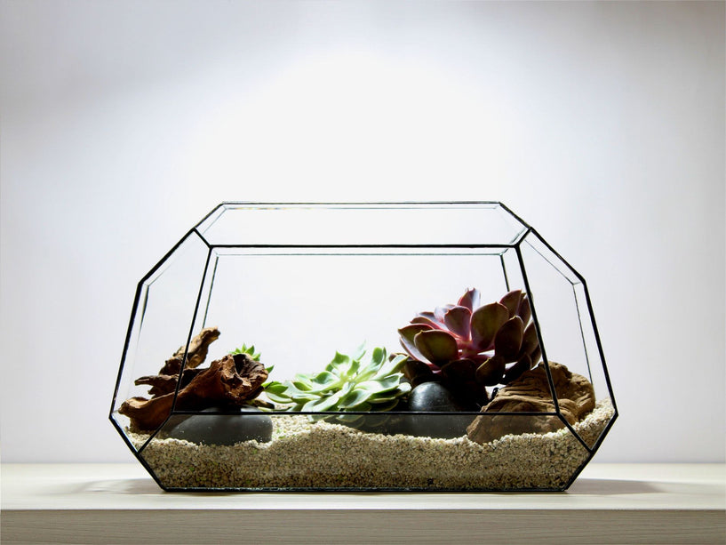 Geometrisch Terrarium - Nexus - Vivarium - ↑ 41,5 x ↔ 21 cm - Waterdicht - Glas