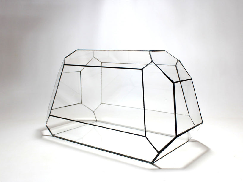 Geometrisch Terrarium - Nexus - Vivarium - ↑ 41,5 x ↔ 21 cm - Waterdicht - Glas