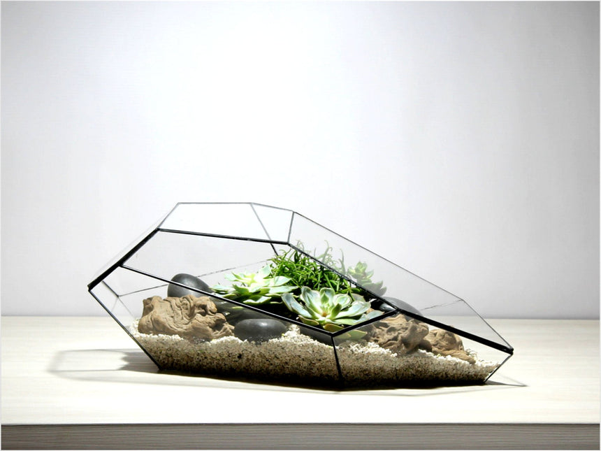 Geometrisch Terrarium - Plantasia - Vivarium - ↑ 50 x ↔ 25 cm - Waterdicht - Glas