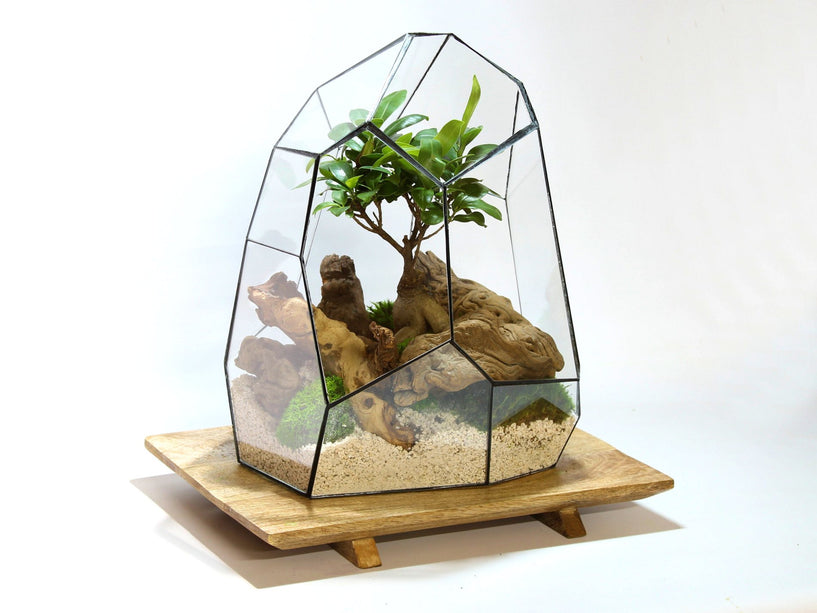 Geometrisch Terrarium - Stellar - Vivarium - ↑ 27 x ↔ 27 cm - Waterdicht - Glas