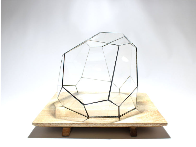 Geometrisch Terrarium - Torno - Vivarium - ↑ 28 x ↔ 26 cm - Waterdicht - Glas