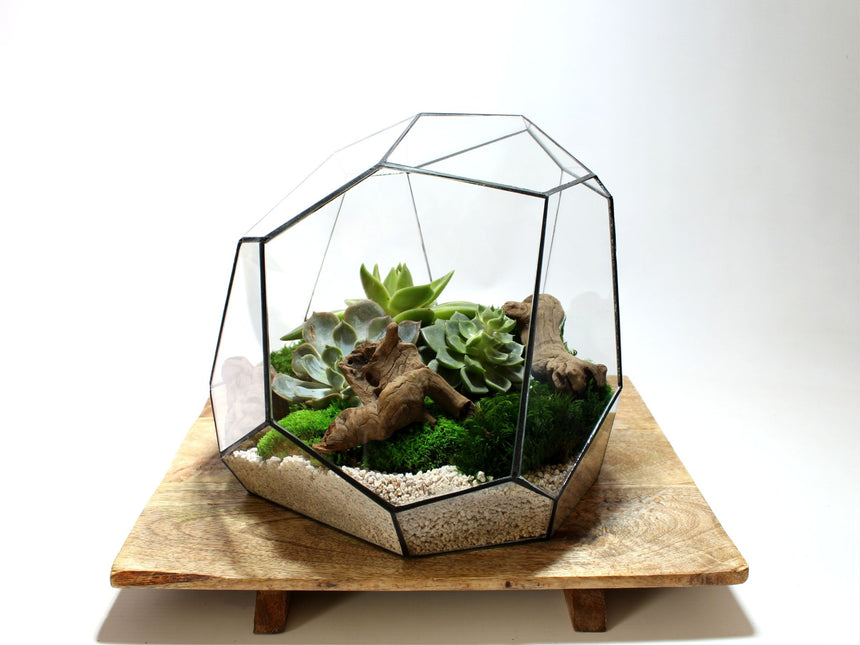 Geometrisch Terrarium - Torno - Vivarium - ↑ 28 x ↔ 26 cm - Waterdicht - Glas