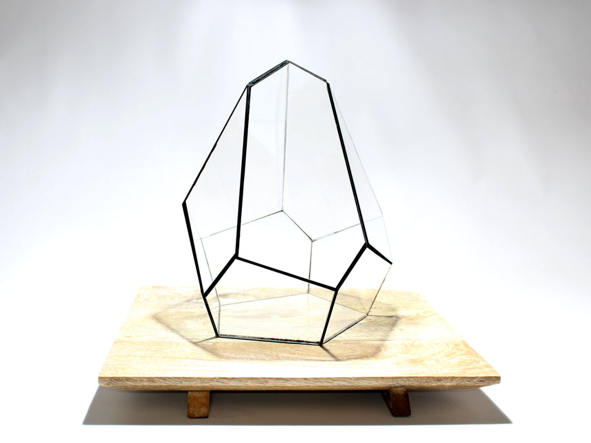 Geometrisch Terrarium - Jungle Gem - Vivarium - ↑ 16 x ↔ 15 cm - Waterdicht - Glas