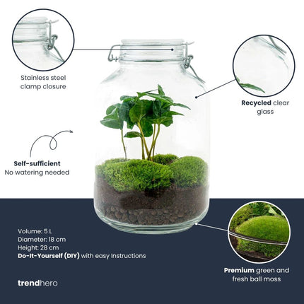 JAR -  DIY Planten Terrarium - Weckpot - Ecosysteem plant - Ø 18 cm ↑ 28 cm