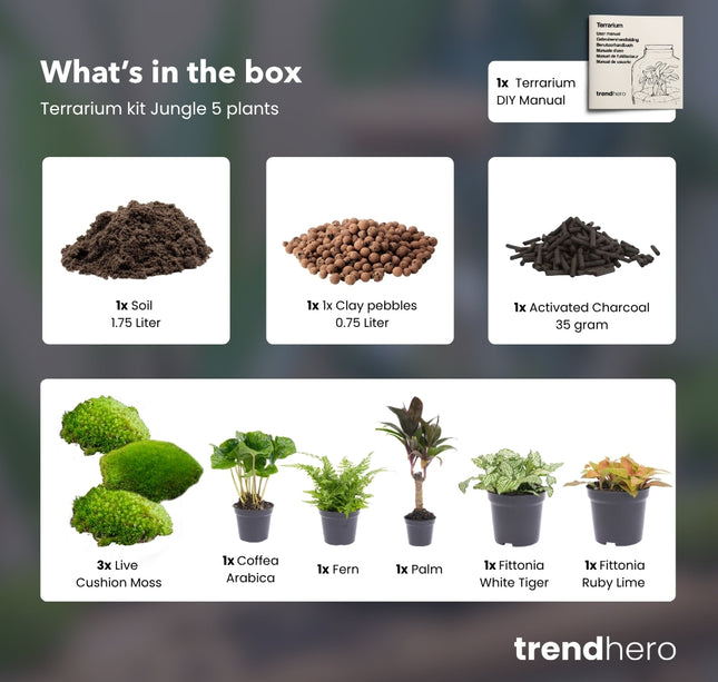 Jungle 5 - Terrarium Start- & navulpakket - 3 terrarium planten - DIY