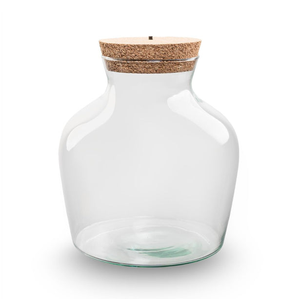 Terrarium fles met LED-verlichting - Gesloten terrarium - Little Joe - ↑ 22 cm