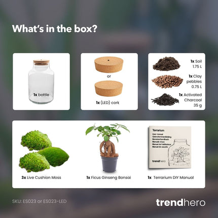 Milky Bonsai - DIY Planten terrarium - Ecosysteem plant - Ø 21 cm ↑ 30 cm