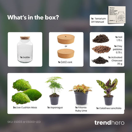 Milky - DIY Planten terrarium - Ecosysteem plant - Ø 21 cm ↑ 30 cm