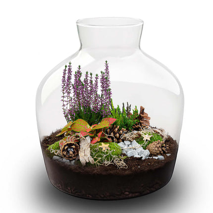 Winter terrarium 'Mistle' - DIY planten terrarium - Ø 29 cm ↑ 30 cm