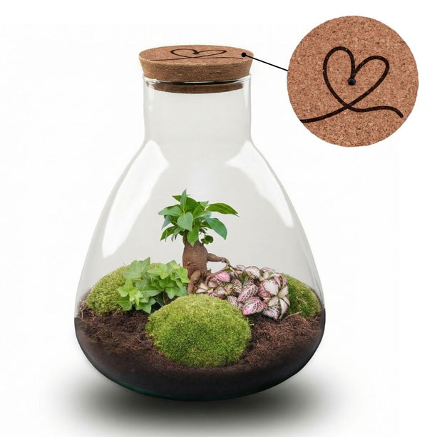 'LOVE MOM' terrarium Sam + gegraveerde kurk met licht - Fles terrarium DIY kit - Ø 24.5 cm ↑ 30 cm - Moederdag